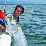 article image -